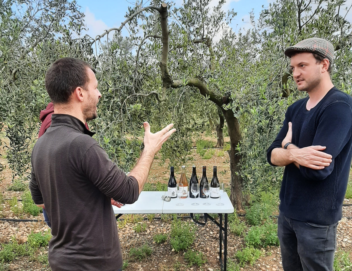 7 zaken waar wij op letten wanneer we een wijn selecteren voor ons assortiment 🍷🌱