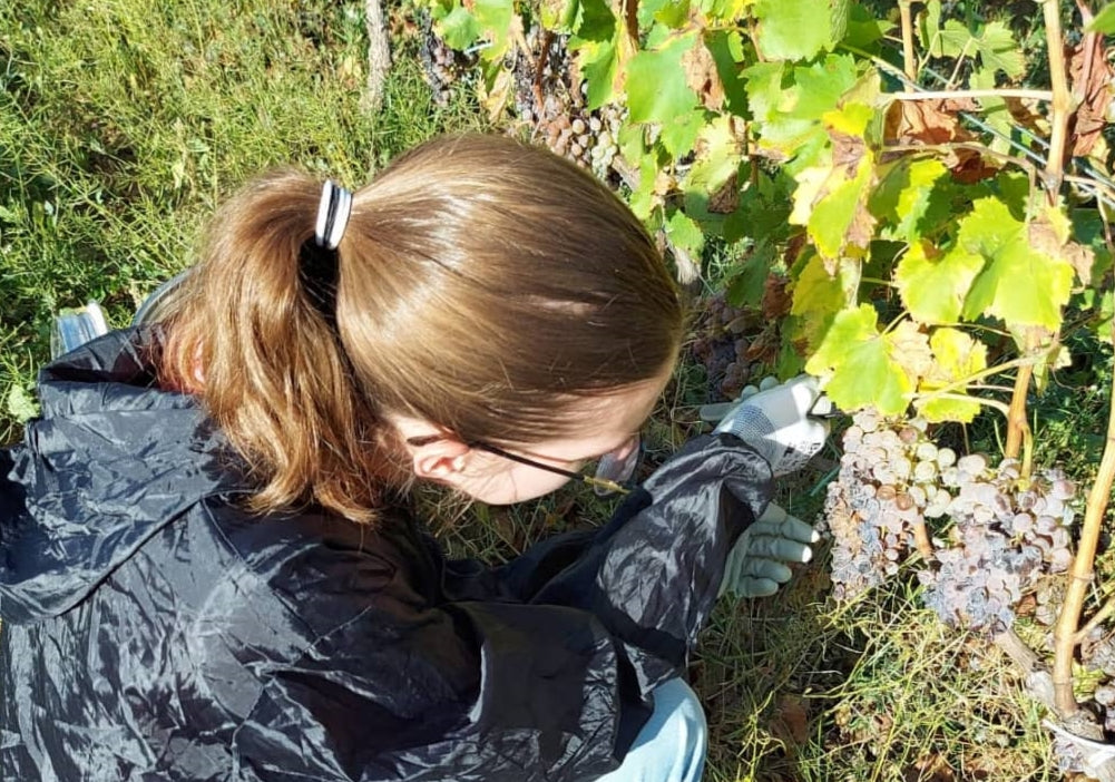 De wijnen van de twee zusjes zijn absoluut een schot in de roos.