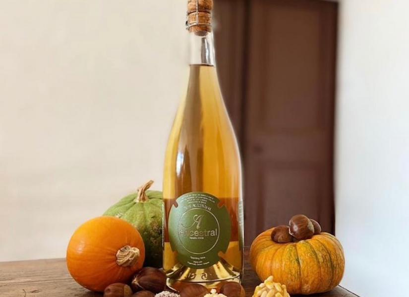 Top 5 Druivenrassen om te drinken in de herfst 🍁🍂🍷