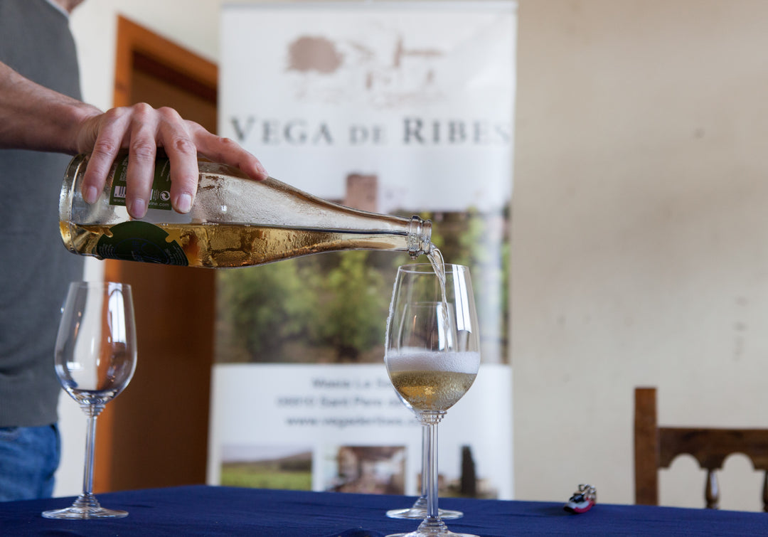 Ancestral, de (oude) nieuwe bubbel!