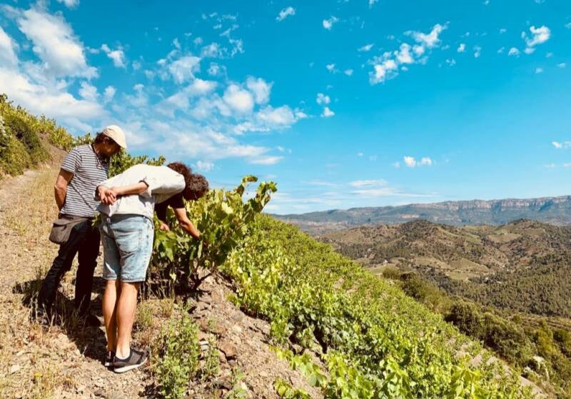 Ontdek Priorat